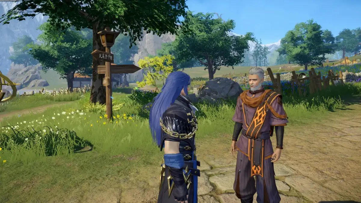 Blue-haired hero talking with a village elder in a sunny field in Soul Land: Awakening World